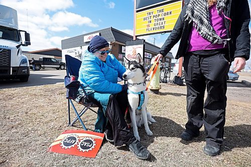 24042023
Suzanne Galbraith, a Public Service Alliance of Canada union member, visits with Phish, a shelter dog from Paws Crossed, while picketing along Richmond Avenue in Brandon near the Brandon Service Canada Centre on Monday morning. 
(Tim Smith/The Brandon Sun)