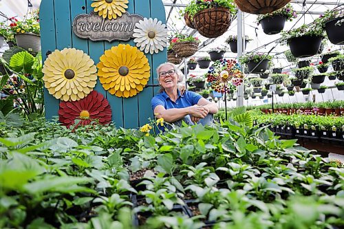 RUTH BONNEVILLE / WINNIPEG FREE PRESS 

BIZ - St Mary's (Ruth)

Photo of St. Mary's Nursery President and Co-owner, Carla Hrycyna, all smiles in one of their many greenhouses with a large array of new plants and flowers.  

Story: Business. St. Mary&#x573; Nursery and Garden Centre has been around for 35 years and continues to grow and thrive. With over 65,000 square feet of display gardens of perennials, annuals, trees, shrubs and tropical houses, it&#x573; not just a garden centre anymore but a one stop shop that also offers a gift store, fashion, home dcor and everything you might need to create a beautiful outdoor oasis. 



Reporter: Janine LeGal



April 25th, 2023