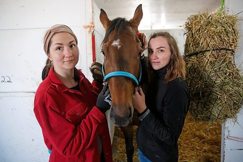 Mike Deal / Winnipeg Free Press
Horse groomers, Tetiana (left) and Ilona (right) with, I&#x2019;ve Got All Night, in trainer Devon Gittens barn have found a home in Winnipeg after escaping the war in Ukraine.
See George Williams story.
230428 - Friday, April 28, 2023.