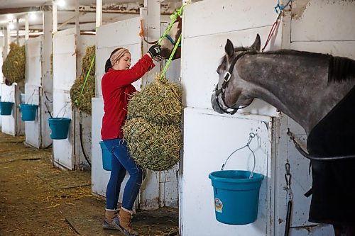 Mike Deal / Winnipeg Free Press
Horse groomer Tetiana Dneprovska in trainer Devon Gittens barn has found a home in Winnipeg after escaping the war in Ukraine.
See George Williams story.
230428 - Friday, April 28, 2023.