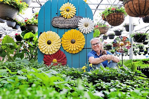 RUTH BONNEVILLE / WINNIPEG FREE PRESS 

BIZ - St Mary's (Ruth)

Photo of St. Mary's Nursery President and Co-owner, Carla Hrycyna, all smiles in one of their many greenhouses with a large array of new plants and flowers.  

Story: Business. St. Mary&#x573; Nursery and Garden Centre has been around for 35 years and continues to grow and thrive. With over 65,000 square feet of display gardens of perennials, annuals, trees, shrubs and tropical houses, it&#x573; not just a garden centre anymore but a one stop shop that also offers a gift store, fashion, home dcor and everything you might need to create a beautiful outdoor oasis. 



Reporter: Janine LeGal



April 25th, 2023