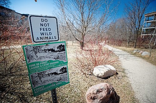 Mike Deal / Winnipeg Free Press
Henteleff Park in south St. Vital where signs have been put up indicating that there might be Coyotes in the area and to not feed wild animals.
See Chris Kitching story
230502 - Tuesday, May 02, 2023.