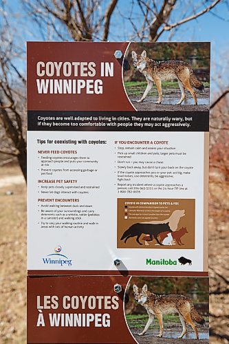 Mike Deal / Winnipeg Free Press
Henteleff Park in south St. Vital where signs have been put up indicating that there might be Coyotes in the area and to not feed wild animals.
See Chris Kitching story
230502 - Tuesday, May 02, 2023.