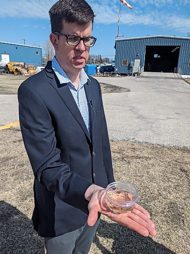 David Wade, the city's superintendent of insect control, holds a dish containing mosquito larvae. City crews will be spraying larvicide on standing water in ditches and low-lying areas to help control the mosquito population. (Chris Kitching / Winnipeg Free Press)