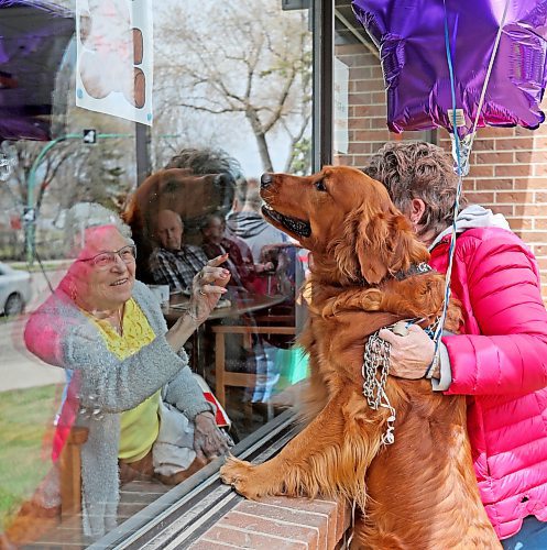 Brandon Sun 08052020

Wanda Meadows, a resident at Dinsdale Personal Care Home, visits with her daughter Carol Snow and Carol's dog Remi through the window of the residence on Friday. Family members gave an early Mother's Day surprise to residents at Dinsdale Personal Care Home on Friday, showing up with signs and decorated cars and visiting through the main-floor windows in accordance with COVID-19 precautions.  (Tim Smith/The Brandon Sun)