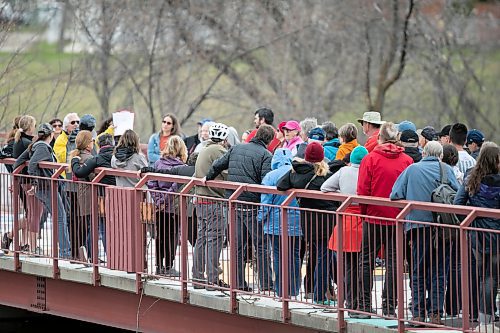 BROOK JONES / WINNIPEG FREE PRESS
People gather on Le Point Du Voyageur during a guided walk along the Seine River in St. Boniface by members of Save our Seine. Organizers say 80 people registered for the Seine River Trail Jane's Walk in Winnipeg, Man., during the afternoon of Sunday, May 7, 2023. The citizen-led walking conversations inspired by citizen activist Jane Jacobs take place on the first weekend in May every year. Jane's Walk festivals take place in hundreds of cities around the world with the goal of encouraging people to share stories about their neighbourhoods and discover unseen aspects of their communities. 