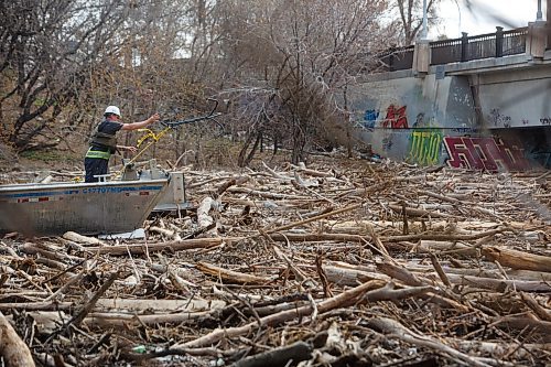 Mike Deal / Winnipeg Free Press
Crews using grappling hooks and ropes work to clear a large logjam on the Assiniboine River close to The Forks Tuesday afternoon.
230509 - Tuesday, May 09, 2023.