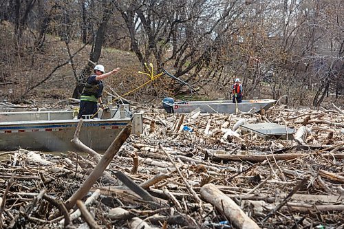 Mike Deal / Winnipeg Free Press
Crews using grappling hooks and ropes work to clear a large logjam on the Assiniboine River close to The Forks Tuesday afternoon.
230509 - Tuesday, May 09, 2023.