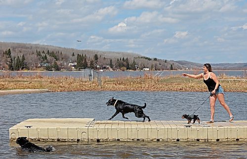 Jen Shoemaker of Minnedosa throws a stick into Minnedosa Lake for her dogs Finley and Luna on Wednesday. (Tim Smith/The Brandon Sun)