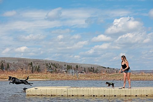 10052023
Jen Shoemaker of Minnedosa throws a stick into Minnedosa Lake for her dogs Luna and Finley while letting them enjoy the beautiful day along with other family dogs Rocky and Shadow (not shown) on Wednesday.
(Tim Smith/The Brandon Sun)