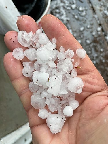 KEVIN ROLLASON / WINNIPEG FREE PRESS

Hail from storm in Winnipeg Wednesday evening, May 10, 2023