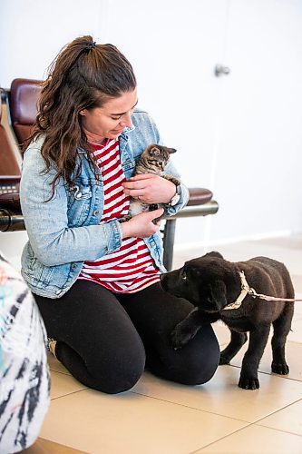 MIKAELA MACKENZIE / WINNIPEG FREE PRESS
 
Eva Wasney meets her cargo before transporting some adoptable cats and puppies to Toronto for K9 Advocates Manitoba at the airport in Winnipeg on Wednesday, May 3, 2023. For Eva story.

Winnipeg Free Press 2023.