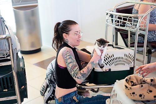 MIKAELA MACKENZIE / WINNIPEG FREE PRESS
 
Chelsea Caron sorts kittens into crates (two to a kennel) to be transported to Toronto for K9 Advocates Manitoba at the airport in Winnipeg on Wednesday, May 3, 2023. For Eva story.

Winnipeg Free Press 2023.