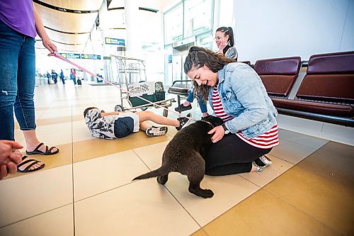 MIKAELA MACKENZIE / WINNIPEG FREE PRESS
 
Eva Wasney greets Cinder before transporting some adoptable cats and puppies to Toronto for K9 Advocates Manitoba at the airport in Winnipeg on Wednesday, May 3, 2023. For Eva story.

Winnipeg Free Press 2023.