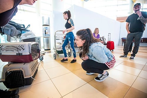 MIKAELA MACKENZIE / WINNIPEG FREE PRESS
 
Eva Wasney meets cat Pheonix before transporting some adoptable cats and puppies to Toronto for K9 Advocates Manitoba at the airport in Winnipeg on Wednesday, May 3, 2023. For Eva story.

Winnipeg Free Press 2023.