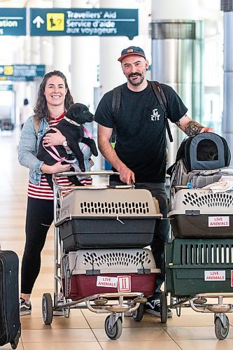 MIKAELA MACKENZIE / WINNIPEG FREE PRESS
 
Eva Wasney and her partner, Neal Leithead, transport adoptable cats and puppies to Toronto for K9 Advocates Manitoba at the airport in Winnipeg on Wednesday, May 3, 2023. For Eva story.

Winnipeg Free Press 2023.