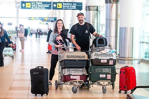 MIKAELA MACKENZIE / WINNIPEG FREE PRESS
 
Eva Wasney and her partner, Neal Leithead, transport adoptable cats and puppies to Toronto for K9 Advocates Manitoba at the airport in Winnipeg on Wednesday, May 3, 2023. For Eva story.

Winnipeg Free Press 2023.