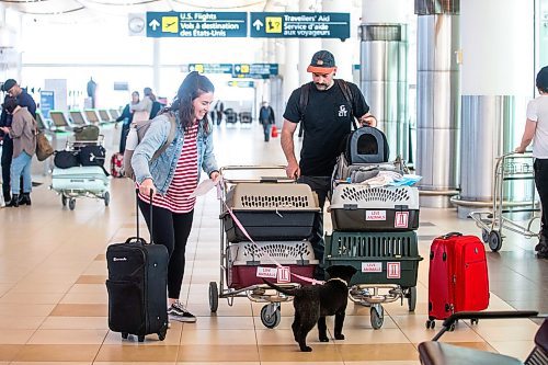 MIKAELA MACKENZIE / WINNIPEG FREE PRESS
 
Eva Wasney and her partner, Neal Leithead, transport adoptable cats and puppies to Toronto for K9 Advocates Manitoba at the airport in Winnipeg on Wednesday, May 3, 2023. For Eva story.

Winnipeg Free Press 2023.