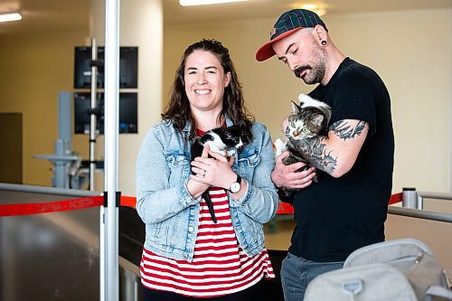 MIKAELA MACKENZIE / WINNIPEG FREE PRESS
 
Eva Wasney and her partner, Neal Leithead, hold kittens from K9 Advocates Manitoba as the crates are scanned before going on a plane to Toronto in Winnipeg on Wednesday, May 3, 2023. For Eva story.

Winnipeg Free Press 2023.