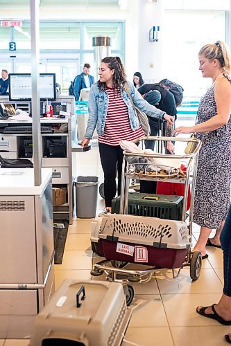 MIKAELA MACKENZIE / WINNIPEG FREE PRESS
 
Eva Wasney transports some adoptable cats and puppies to Toronto for K9 Advocates Manitoba at the airport in Winnipeg on Wednesday, May 3, 2023. For Eva story.

Winnipeg Free Press 2023.