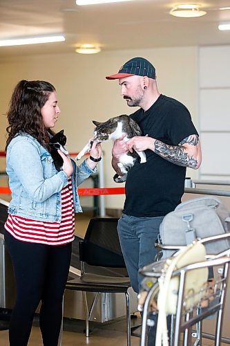 MIKAELA MACKENZIE / WINNIPEG FREE PRESS
 
Eva Wasney and her partner, Neal Leithead, hold kittens from K9 Advocates Manitoba as the crates are scanned before going on a plane to Toronto in Winnipeg on Wednesday, May 3, 2023. For Eva story.

Winnipeg Free Press 2023.