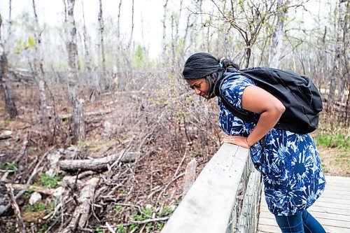 MIKAELA MACKENZIE / WINNIPEG FREE PRESS
 
AV Kitching looks into the first den (where she didn&#x574; see any snakes yet) on her first trip to the Narcisse Snake Dens on Friday, May 12, 2023. For AV story.

Winnipeg Free Press 2023.