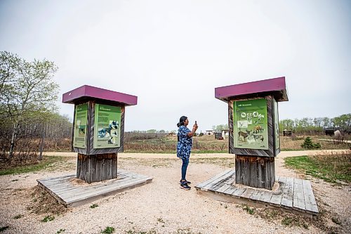 MIKAELA MACKENZIE / WINNIPEG FREE PRESS
 
AV Kitching experiences the Narcisse Snake Dens for the first time on Friday, May 12, 2023. For AV story.

Winnipeg Free Press 2023.