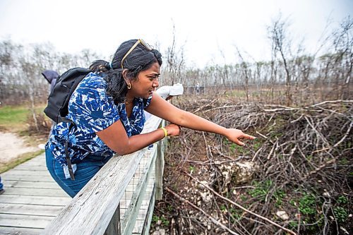 MIKAELA MACKENZIE / WINNIPEG FREE PRESS
 
AV Kitching looks into the fourth den while experiencing the Narcisse Snake Dens for the first time on Friday, May 12, 2023. For AV story.

Winnipeg Free Press 2023.