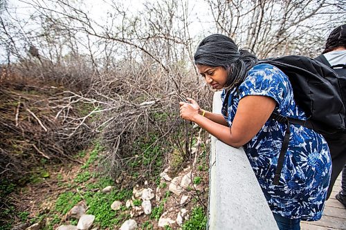 MIKAELA MACKENZIE / WINNIPEG FREE PRESS
 
AV Kitching peers into the third den as she experiences the Narcisse Snake Dens for the first time on Friday, May 12, 2023. For AV story.

Winnipeg Free Press 2023.