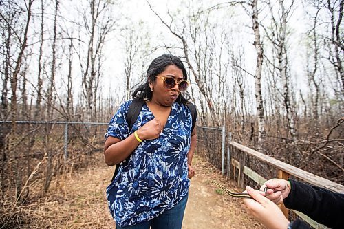 MIKAELA MACKENZIE / WINNIPEG FREE PRESS
 
AV Kitching touches a snake as Cara Lizotte holds it out for her at the Narcisse Snake Dens on Friday, May 12, 2023. For AV story.

Winnipeg Free Press 2023.