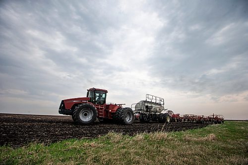 MIKAELA MACKENZIE / WINNIPEG FREE PRESS
 
Rob Harms seeds wheat in one of his fields near Snowflake, Manitoba on Wednesday, May 17, 2023. For Al Small story.

Winnipeg Free Press 2023.