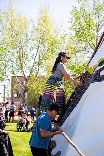 MIKAELA MACKENZIE / WINNIPEG FREE PRESS
 
The winning team lifts Jennifer Chartrand up to put the highest lacing pins in at the Manito Ahbee Tipi Raising Contest at the Red River Exhibition grounds on Friday, May 19, 2023. 

Winnipeg Free Press 2023.