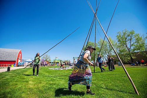 MIKAELA MACKENZIE / WINNIPEG FREE PRESS
 
Winning team Joel Montgomery (left), Jennifer Chartrand, Jason Whitford, and Cora Morgan race to put up their tipi at the Manito Ahbee Tipi Raising Contest at the Red River Exhibition grounds on Friday, May 19, 2023. 

Winnipeg Free Press 2023.