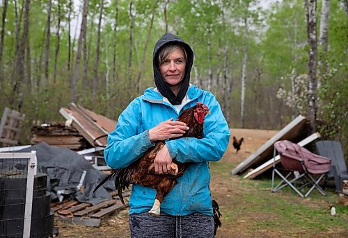 JESSICA LEE / WINNIPEG FREE PRESS

Christine Mason holds Martin the rooster at Free From Farm, an animal sanctuary Mason runs with her husband Tom, on May 18, 2023. The sanctuary has about 60 animals they saved after the animals were abandoned, abused or unwanted.

Reporter: Janine LeGal
