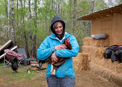 JESSICA LEE / WINNIPEG FREE PRESS

Christine Mason holds Martin the rooster at Free From Farm, an animal sanctuary Mason runs with her husband Tom, on May 18, 2023. The sanctuary has about 60 animals they saved after the animals were abandoned, abused or unwanted.

Reporter: Janine LeGal