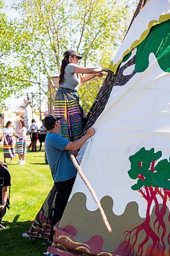 MIKAELA MACKENZIE / WINNIPEG FREE PRESS
 
The winning team lifts Jennifer Chartrand up to put the highest lacing pins in at the Manito Ahbee Tipi Raising Contest at the Red River Exhibition grounds on Friday, May 19, 2023. 

Winnipeg Free Press 2023.