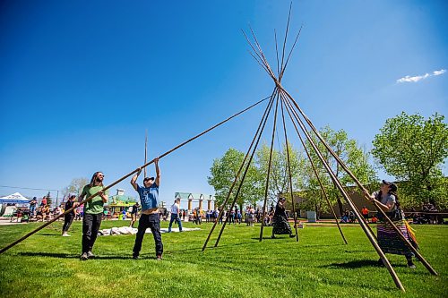 MIKAELA MACKENZIE / WINNIPEG FREE PRESS
 
Winning team Joel Montgomery (left), Jason Whitford, Cora Morgan, and Jennifer Chartrand race to put up their tipi at the Manito Ahbee Tipi Raising Contest at the Red River Exhibition grounds on Friday, May 19, 2023. 

Winnipeg Free Press 2023.