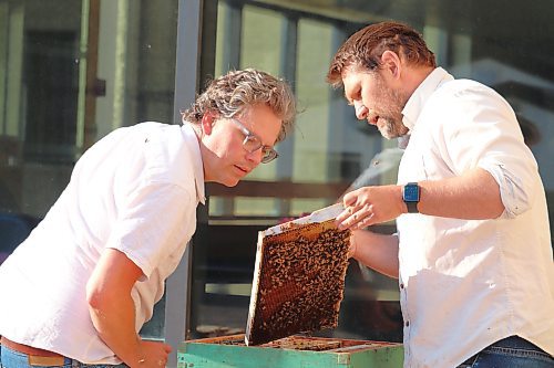 Apiarist Mike Clark shows Brandon University director of communications Grant Hamilton how to spot the hive's queen bee on the roof of the Knowles-Douglas Student Union Building Saturday morning. For this year's urban beekeeping project, the "Bee U" team is hoping to find a facility approved by the Canadian Food Inspection Agency to help harvest the honey produced on campus. (Kyle Darbyson/The Brandon Sun)
