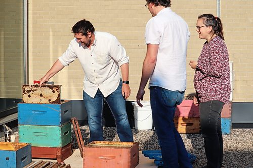Mike Clark examines a hive frame Saturday morning at Brandon University, lending his expertise as an apiarist to help the school's "Bee U" team install a pair of hives on campus for the second year in a row. (Kyle Darbyson/The Brandon Sun)