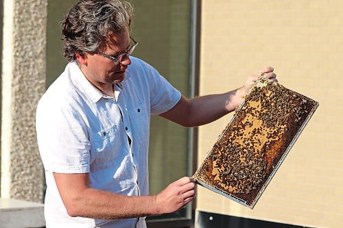 Brandon University director of communications Grant Hamilton showcases a buzzing frame Saturday morning during the installation of two hives on campus for this year's "Bee U" project. (Kyle Darbyson/The Brandon Sun)