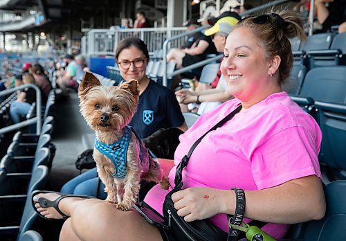 JESSICA LEE / WINNIPEG FREE PRESS

Tiffany Monkman is photographed with her dog Nash May 20, 2023 at IG Field in a Valour FC game against Pacific FC. The team was welcoming dogs to the game.

Stand up