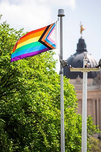 MIKAELA MACKENZIE / WINNIPEG FREE PRESS
 
The first Pride flag raising outside of the Manitoba Legislative Building (in Memorial Park) on Friday, May 26, 2023.  For Danielle da Silva story.

Winnipeg Free Press 2023.