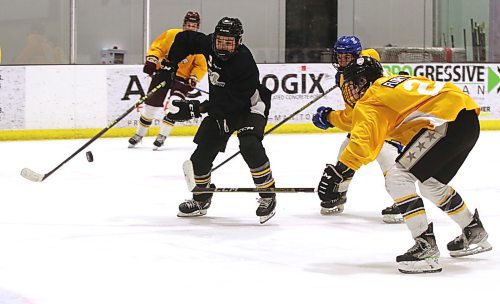 Team Black forward Jaxon Jacobson (9) knocks the puck of the air as Team Gold forward Drew Williamson (blue helmet) and defenceman Tao Flory defend during Sunday’s intrasquad game at Brandon Wheat Kings prospects camp at J&G Homes Arena. Jacobson tied for the scoring lead at the camp. (Perry Bergson/The Brandon Sun)