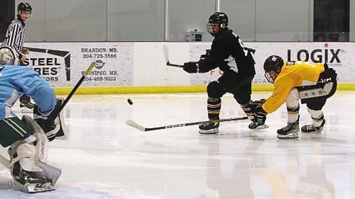 Team Black forward Easton Odut (8) backhands the puck at Team Gold goalie Greyson Moroz as blue-liner Tao Flory (2) defends during Sunday&#x2019;s intrasquad game at Brandon Wheat Kings prospects camp at J&amp;G Homes Arena. (Perry Bergson/The Brandon Sun)