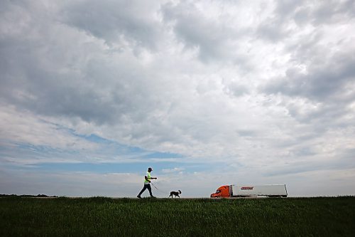 29052023
Cameron West walks east along the Trans Canada Highway towards Carberry with his french bulldog Gretchen while his wife Charity takes her turn driving the support vehicle on Monday morning. The couple are walking across Canada to draw attention to missing and murdered Indigenous people. They began their first leg of the walk in Siksika Nation in southern Alberta and are walking to St. John's, Nfld. From there they will begin their second leg in Prince Rupert , BC, and walk the Highway of Tears, Highway 16, where several Indigenous Canadians have gone missing, home to Prince George. They average approximately 40-50 KM's a day. 
(Tim Smith/The Brandon Sun)