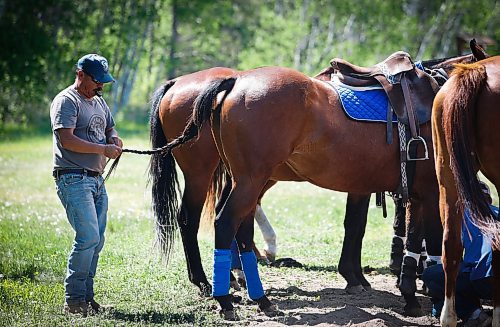 JOHN WOODS / WINNIPEG FREE PRESS
Isaias Palma Franco, from Mexico and works for Rocking S Polo, braids his horses tail at Springfield Polo Club in Birds Hill Park, Sunday, May 28, 2023. 

Reporter: sanderson