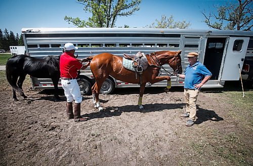JOHN WOODS / WINNIPEG FREE PRESS
Canelo Rafael, a professional polo player from Mexico, left, and Gary Senft, who&#x2019;s been playing polo for 49 years, attend to Rafael&#x2019;s horse Cartel at Springfield Polo Club in Birds Hill Park, Sunday, May 28, 2023. 

Reporter: sanderson