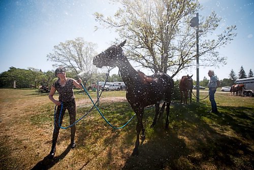 JOHN WOODS / WINNIPEG FREE PRESS
Sophie Ethier hoses down her horse Panthera after polo clinic at Springfield Polo Club in Birds Hill Park, Sunday, May 28, 2023. 

Reporter: sanderson
