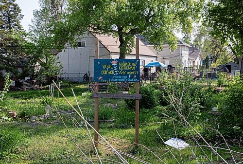 JESSICA LEE / WINNIPEG FREE PRESS

A community garden in Point Douglas is photographed May 25, 2023.

Reporter: Julia-Simone Rutgers