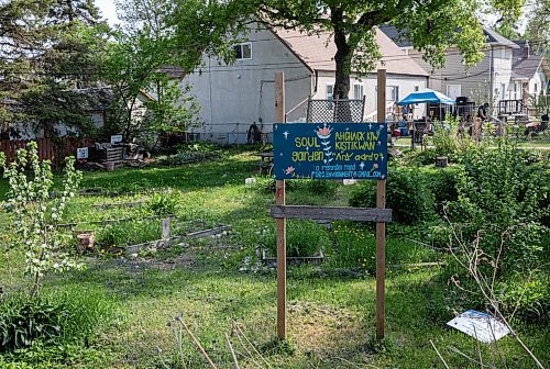 JESSICA LEE / WINNIPEG FREE PRESS

A community garden in Point Douglas is photographed May 25, 2023.

Reporter: Julia-Simone Rutgers